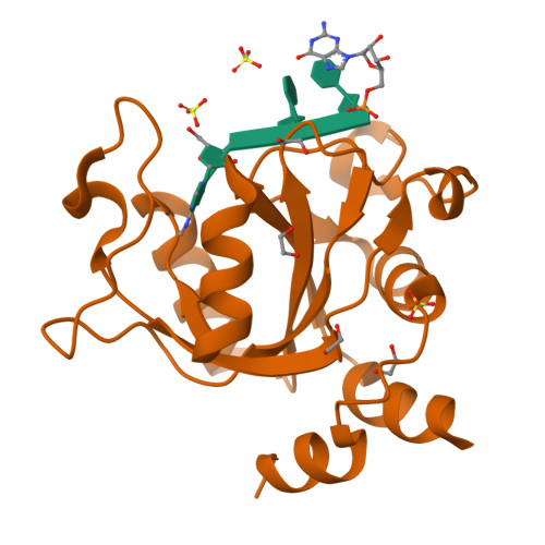 RCSB PDB - 7PO6: Xist (m6A)UCG tetraloop RNA bound to the YTH domain of ...