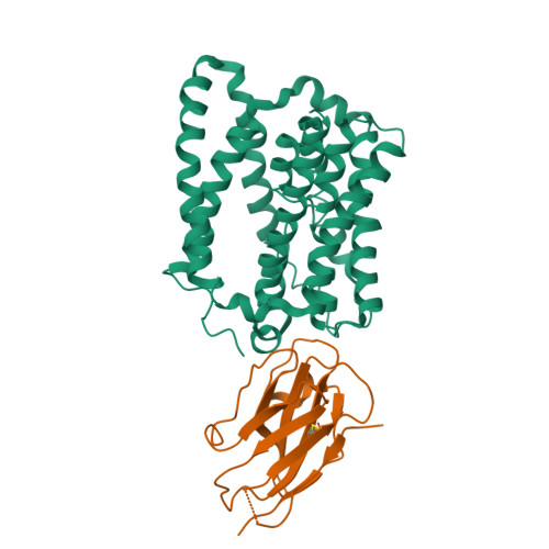 RCSB PDB - 7PQQ: Structure of thermostabilised human NTCP in complex ...