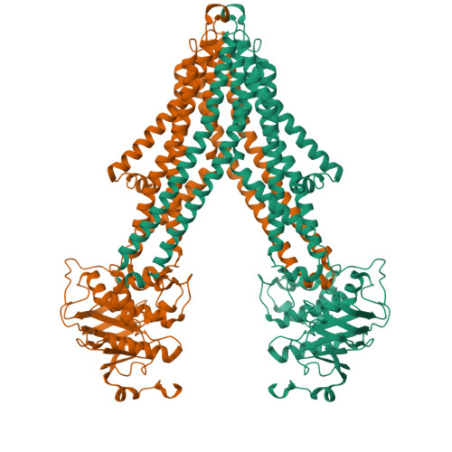 RCSB PDB