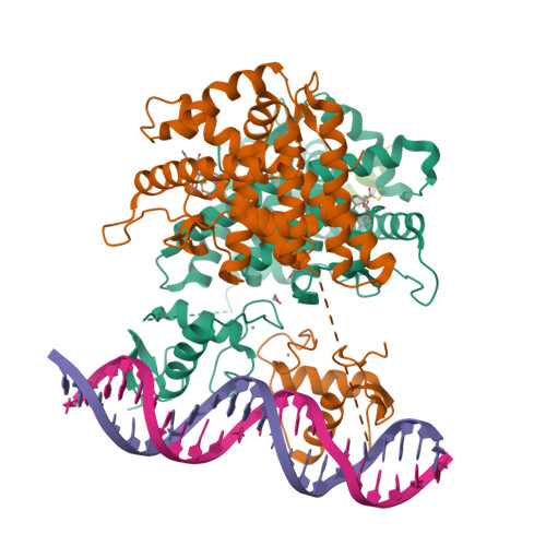 RCSB PDB - 7PRV: The glucocorticoid receptor in complex with ...