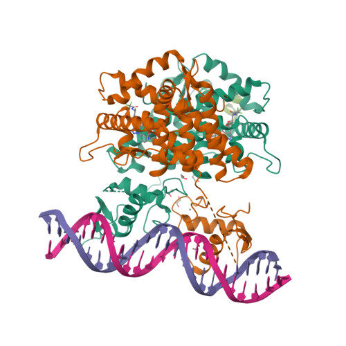 RCSB PDB - 7PRW: The glucocorticoid receptor in complex with velsecorat ...