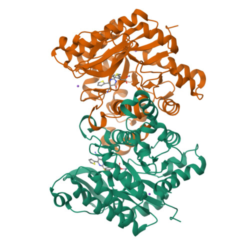 RCSB PDB - 7PWY: Structure of human dimeric ACMSD in complex with the ...