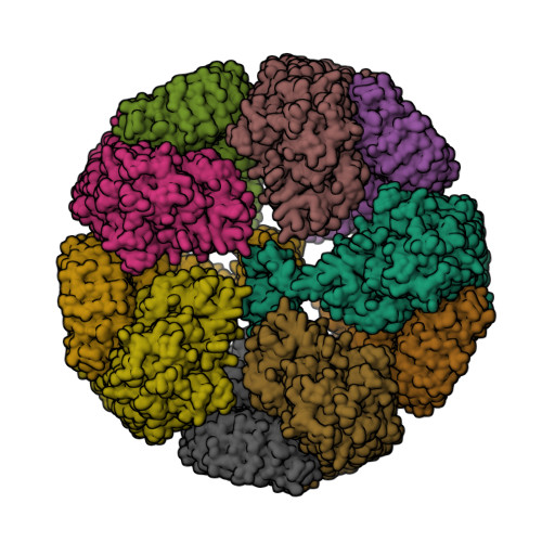 Mesh transition methods  Download Scientific Diagram