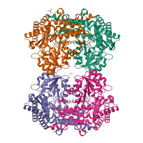 RCSB PDB - 7Q00: Crystal structure of serine hydroxymethyltransferase ...