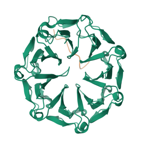 RCSB PDB - 7Q44: Crystal Structure Of RCC1-Like Domain 2 Of Ubiquitin ...