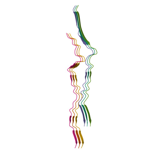 Assembly of recombinant tau into filaments identical to those of