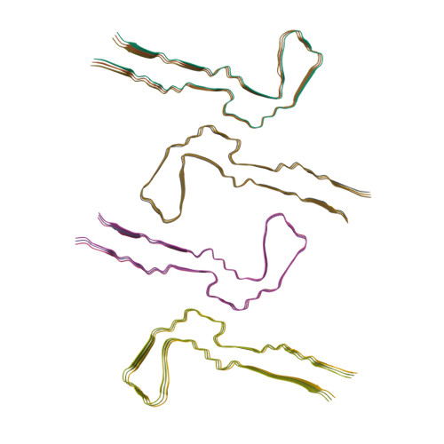 Assembly of recombinant tau into filaments identical to those of