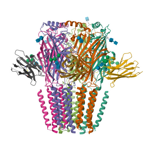 RCSB PDB - 7QN8: Cryo-EM structure of human full-length beta3delta GABA ...