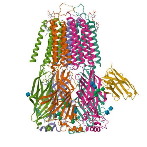 RCSB PDB - 7QNE: Cryo-EM structure of human full-length synaptic ...