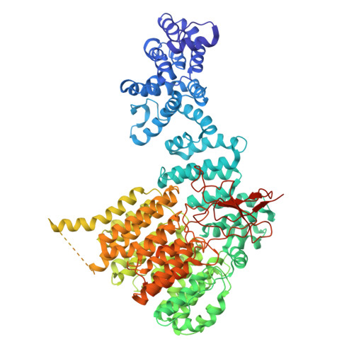 RCSB PDB - 7QO4: 26S proteasome WT-Ubp6-UbVS complex in the si state ...