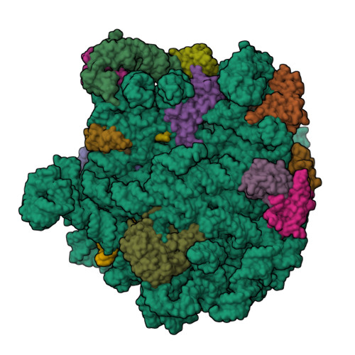 RCSB PDB - 7QQ3: Cryo-EM structure of the E.coli 50S ribosomal subunit ...