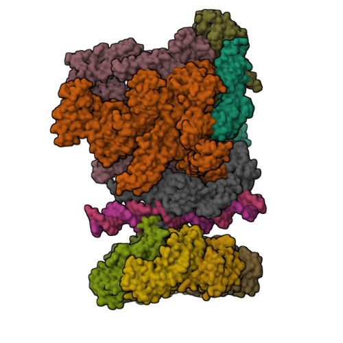RCSB PDB - 7QV9: CryoEM structure of bacterial transcription ...