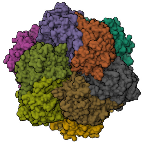 RCSB PDB - 7QYY: Vanadium-dependent bromoperoxidase from Corallina ...