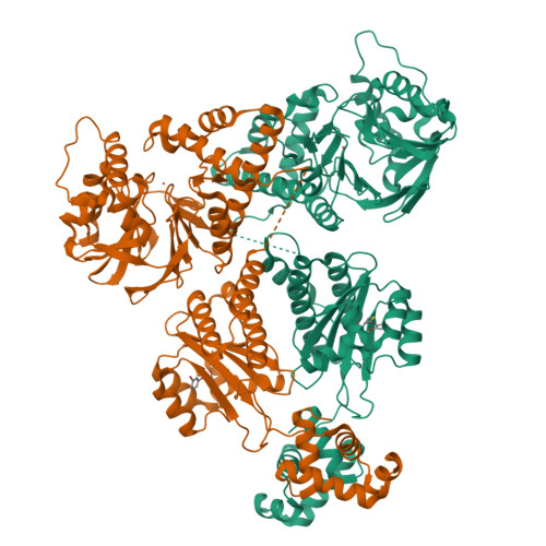HTH-type quorum-sensing regulator RhlR structure
