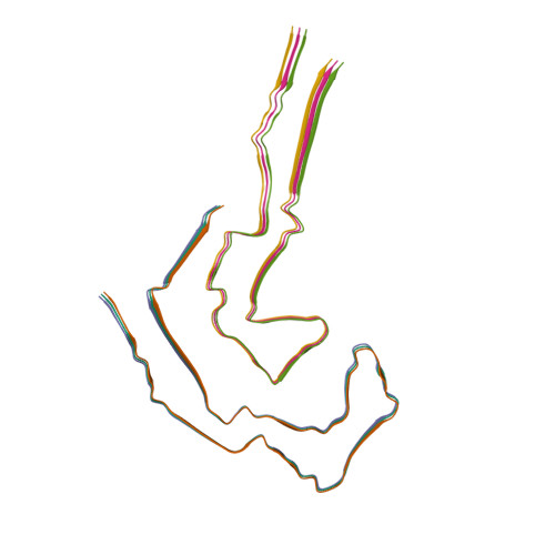 Assembly of recombinant tau into filaments identical to those of