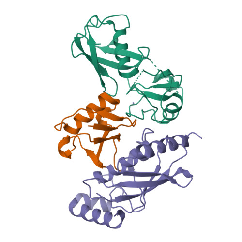 RCSB PDB - 7R71: Crystal Structure of the UbArk2C-UbcH5b~Ub complex