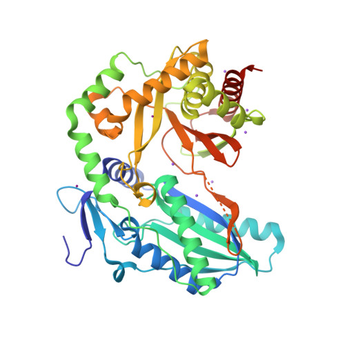 RCSB PDB R X Crystal Structure Of A Dehydrating Condensation Domain AmbE CmodAA Involved