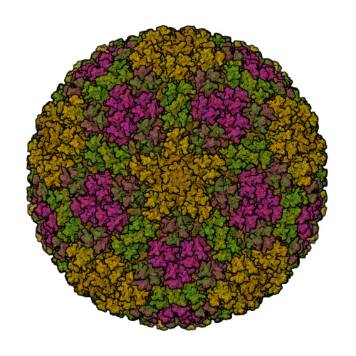 RCSB PDB - 7RD1: The Capsid Structure of the ChAdOx1 viral vector