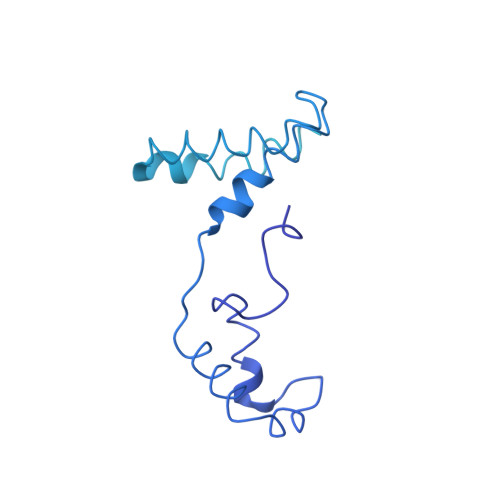 RCSB PDB - 7RD1: The Capsid Structure of the ChAdOx1 viral vector