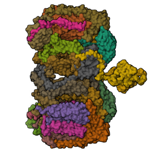 RCSB PDB - 7RH7: Mycobacterial CIII2CIV2 supercomplex, Telacebec