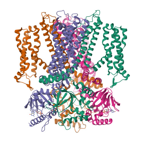 RCSB PDB - 7RHI: Cryo-EM structure of human rod CNGA1/B1 channel in ...