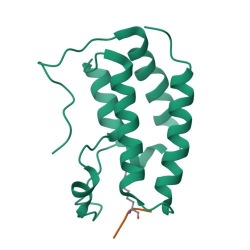 PDB 7RJN