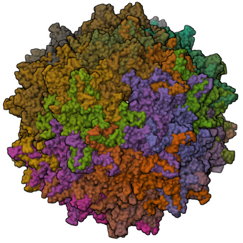 RCSB PDB - 7RK8: Cryo-EM Structure of Adeno-Associated Virus Serotype 9 ...