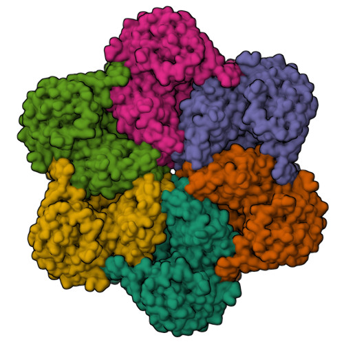 RCSB PDB - 7RL6: Cryo-EM structure of human p97-R155H mutant bound to ADP.