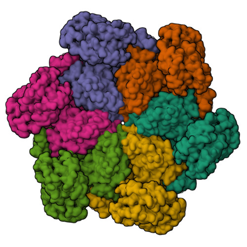 RCSB PDB - 7RL7: Cryo-EM structure of human p97-R155H mutant bound to ...