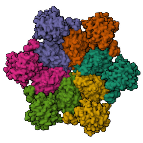 RCSB PDB - 7RL9: Cryo-EM structure of human p97-R191Q mutant bound to ADP.