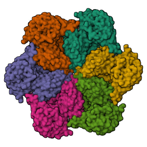 RCSB PDB - 7RLF: Cryo-EM structure of human p97-E470D mutant bound to ...