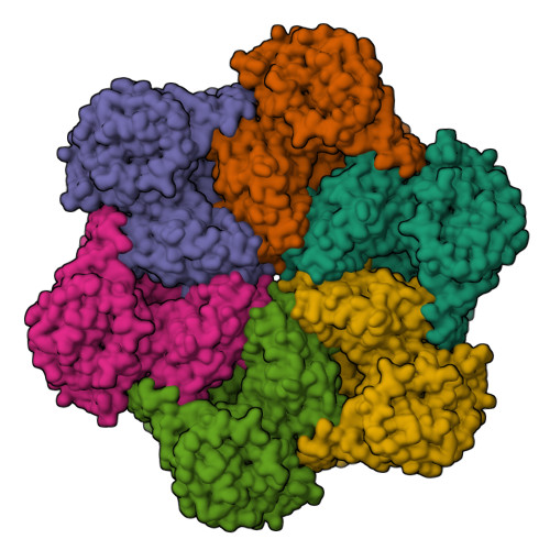 RCSB PDB - 7RLG: Cryo-EM structure of human p97-D592N mutant bound to ADP.