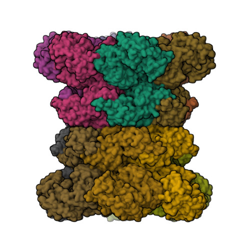 RCSB PDB - 7RLJ: Cryo-EM structure of human p97 bound to CB-5083 and ATPgS.