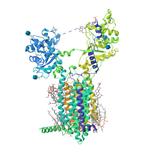 RCSB PDB - 7RPH: Cryo-EM structure of murine Dispatched 'R' conformation