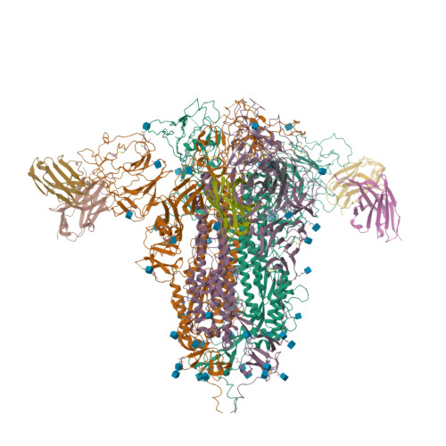 RCSB PDB - 7RQ6: Cryo-EM structure of SARS-CoV-2 spike in complex with ...