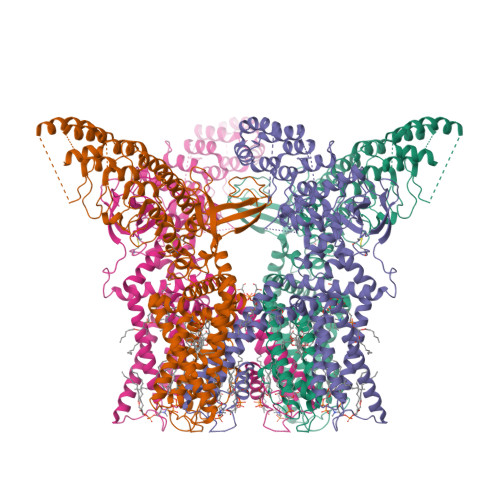 RCSB PDB - 7RQU: Cryo-EM structure of the full-length TRPV1 with RTx at ...