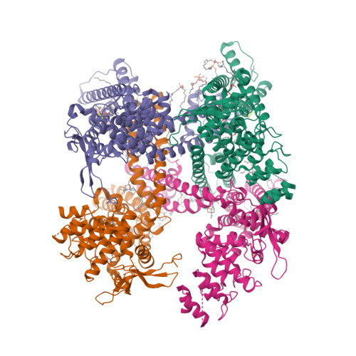 RCSB PDB - 7RQX: Cryo-EM structure of the full-length TRPV1 with RTx at ...
