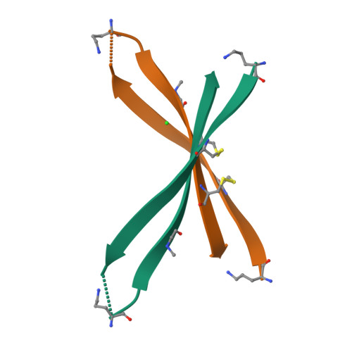 rcsb-pdb-7rtz-x-ray-crystallographic-structure-of-a-beta-hairpin