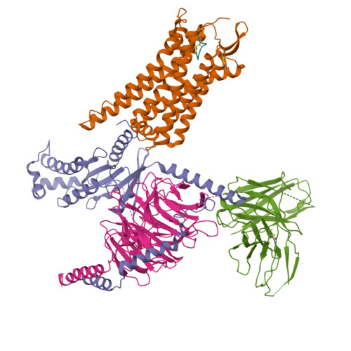 oxytocin receptor structure