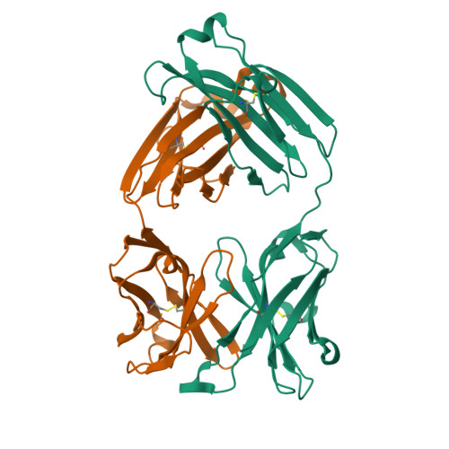 RCSB PDB - 7RYU: Anti-HIV neutralizing antibody Ab1303 Fab
