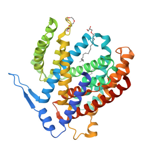 RCSB PDB - 7S24: Crystal structure of the Na+/H+ antiporter NhaA at pH 6.5