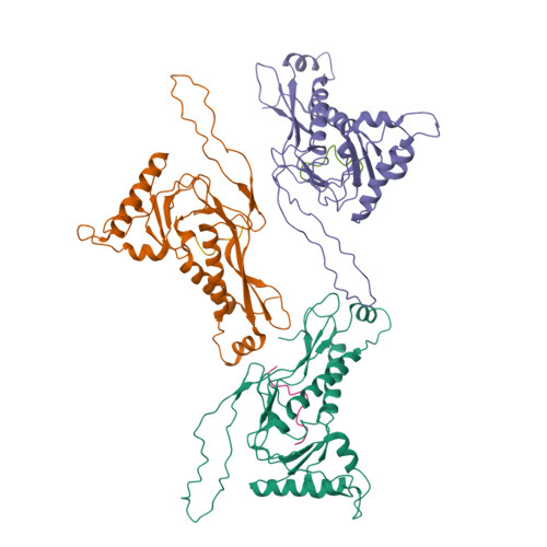 RCSB PDB - 7S2T: M. xanthus encapsulin EncA bound to EncB 