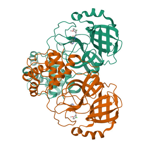 RCSB PDB - 7S3K: Room temperature X-ray structure of SARS-CoV-2
