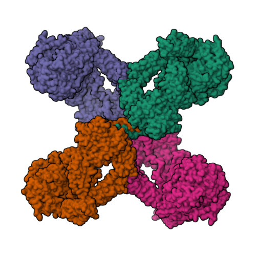 Rcsb Pdb 7s63 Native Form Oocyteegg Alpha 2 Macroglobulin A2moo Tetramer 7515