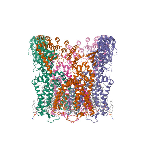 RCSB PDB - 7S88: Open apo-state cryo-EM structure of human TRPV6 