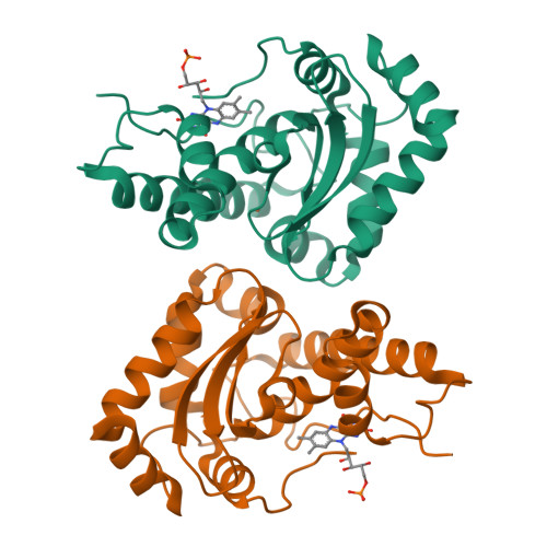 rcsb pdb - 6pt7: structure of kate1 catalase from... RCSB PDB - 7SBH: Crystal structure of the iron superoxide dismutase ...