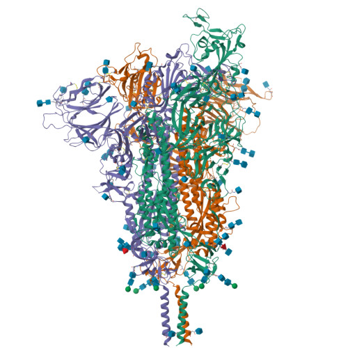 RCSB PDB - 7SBS: One RBD-up 1 Of Pre-fusion SARS-CoV-2 Gamma Variant ...