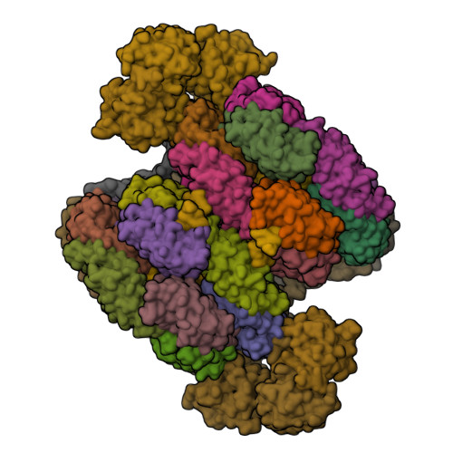 RCSB PDB - 7SCC: T-cylinder of Synechocystis PCC 6803 Phycobilisome ...