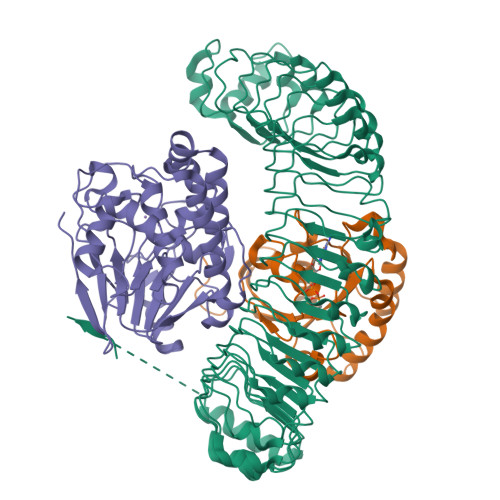 PDB 7SD0
