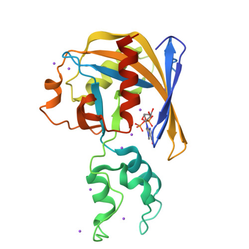 RCSB PDB - 7SEZ: Crystal structure of Vaccinia Virus decapping enzyme ...